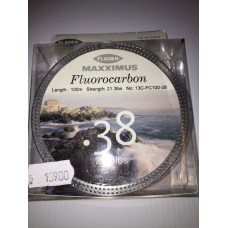 0.38 Fluorocarbon line 100m/10kg